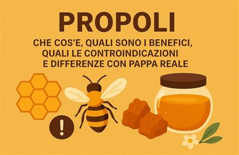 Pappa reale e propoli in dettaglio