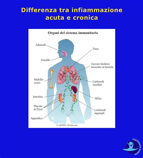 Diagramma che illustra la differenza tra orticaria acuta e cronica