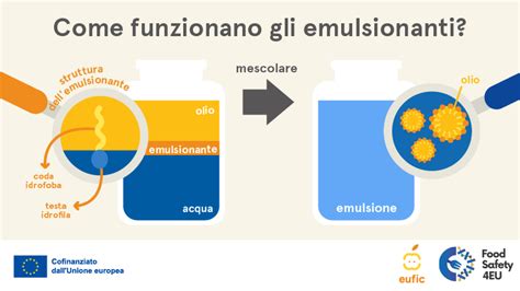 Struttura molecolare di un emulsionante