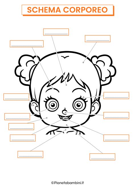 Schema del viso umano che evidenzia le aree comuni di crescita dei peli facciali
