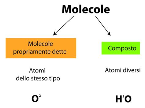Schema di una molecola tensioattiva