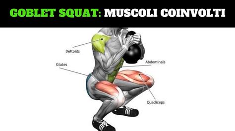 Schema muscolare che evidenzia i muscoli coinvolti nello squat