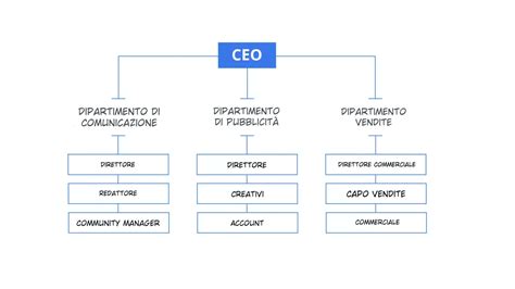 Organigramma semplificato dell'acquisizione