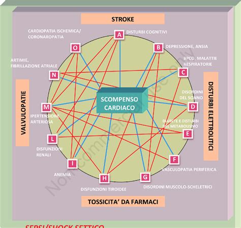Schema che illustra la differenza tra il ricambio cellulare normale e quello accelerato nella psoriasi