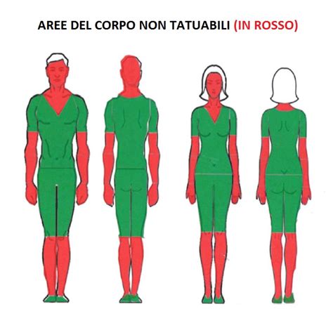 Schema che mostra le zone dove non applicare Wartner