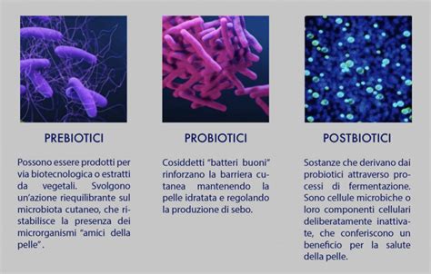 Schema che illustra l'equilibrio del microbiota cutaneo con probiotici e prebiotici
