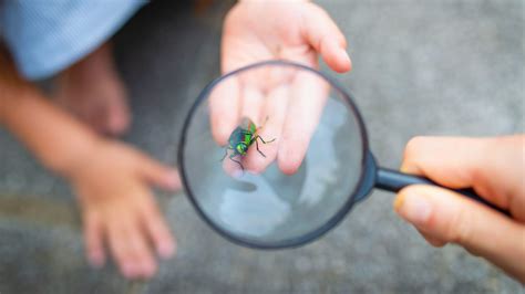 Icona di un medico che tiene in mano una lente d'ingrandimento e un capello