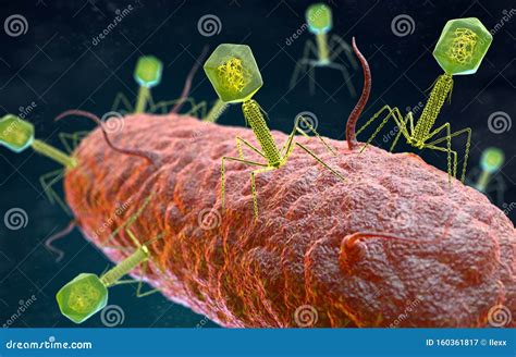 Illustrazione stilizzata di un virus che attacca le cellule della pelle