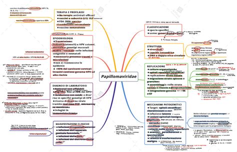 Schema che illustra le diverse famiglie di virus e le relative patologie cutanee