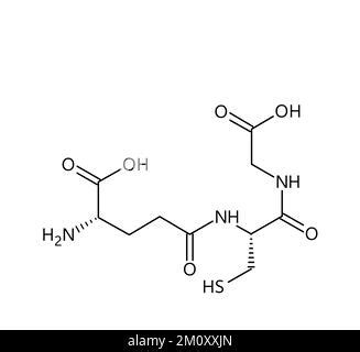 struttura molecolare di un antiossidante