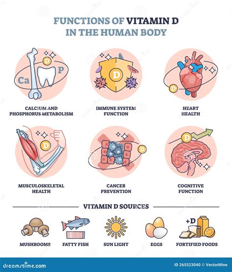 Diagramma che illustra le funzioni della vitamina A nel corpo umano