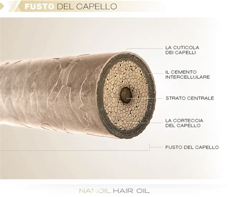 Struttura del capello danneggiato