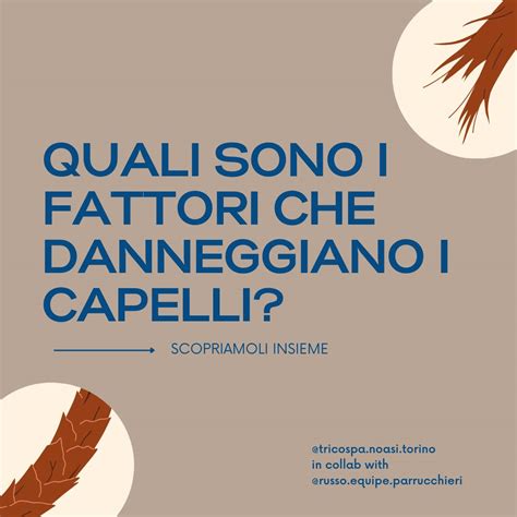 Diagramma che illustra i fattori che danneggiano i capelli