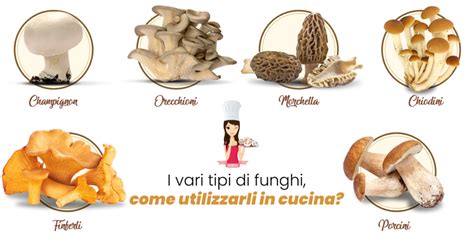 Varietà di funghi medicinali