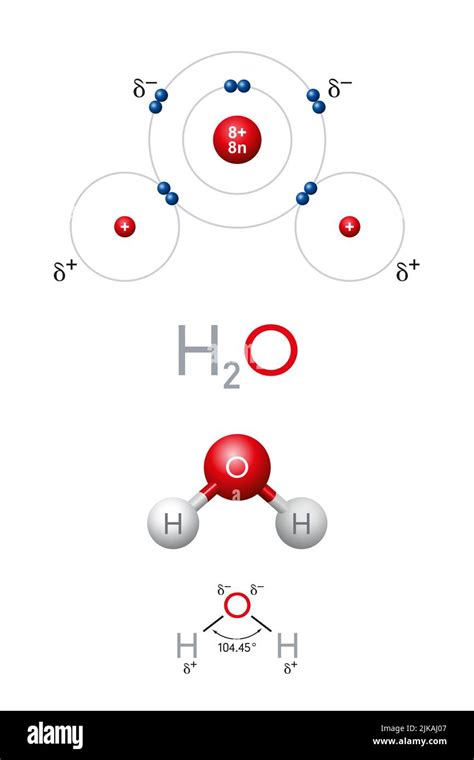 Schema di una molecola d'acqua