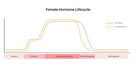 Diagramma degli ormoni femminili
