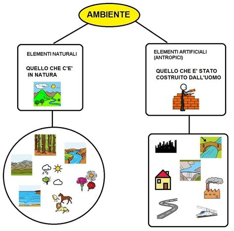 Immagine concettuale che rappresenta un volto con elementi artificiali e naturali