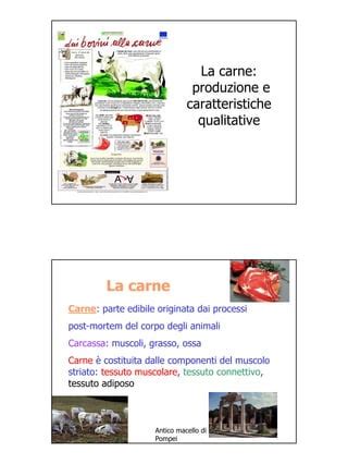 Rappresentazione grafica della composizione di carne fresca e disidratata