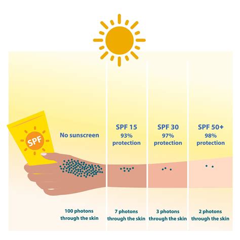 Diagramma che illustra il concetto di SPF e protezione ad ampio spettro