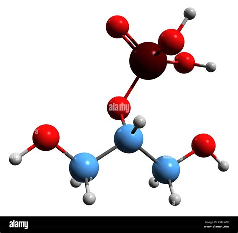 Struttura molecolare di un estere