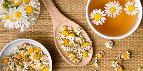 Infografica sui benefici della camomilla e dell'hamamelis per la pelle