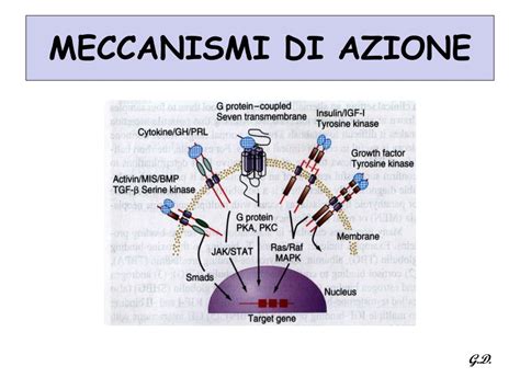 Schema del meccanismo di azione del microneedling