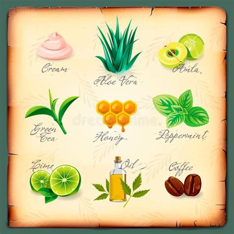 Illustrazione di ingredienti naturali come rosa, aloe vera, burro di cupuaçu