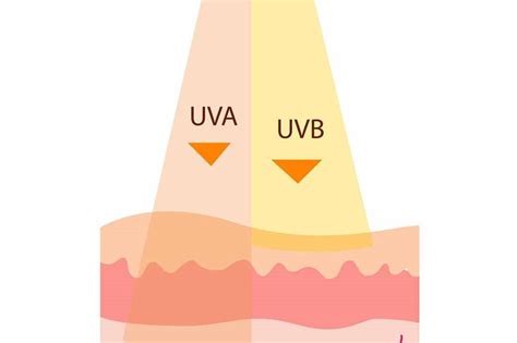 Schema che illustra la differenza tra raggi UVA e UVB e i loro effetti sulla pelle