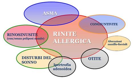 Grafico che illustra la prevalenza della rinite allergica nella popolazione