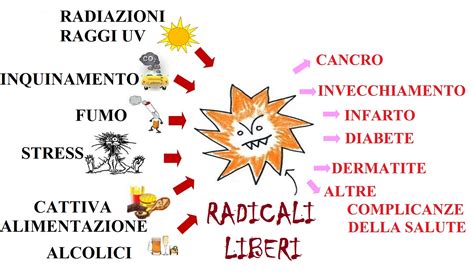 Schema che illustra i danni dei radicali liberi sulla pelle
