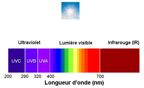 Schéma des rayons UVA, UVB et lumière visible