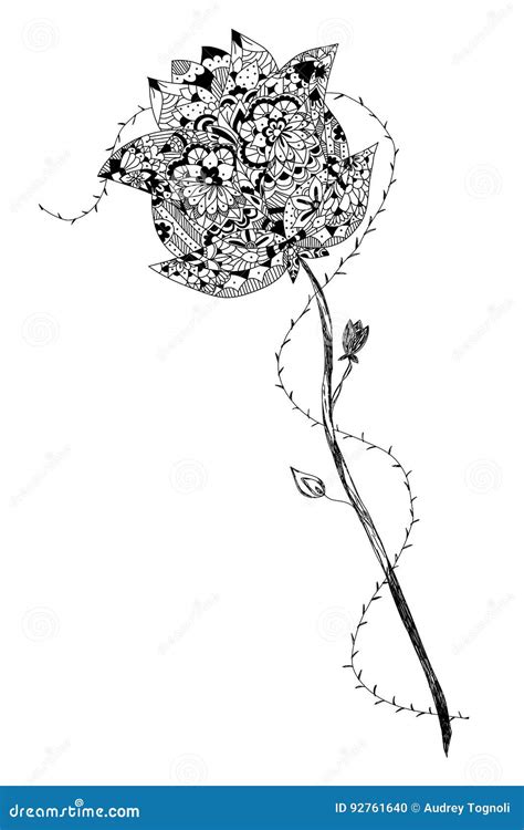 Illustrazione dettagliata di una rosa con spine