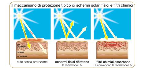 Schema che illustra i meccanismi di protezione dei filtri solari e degli antiossidanti
