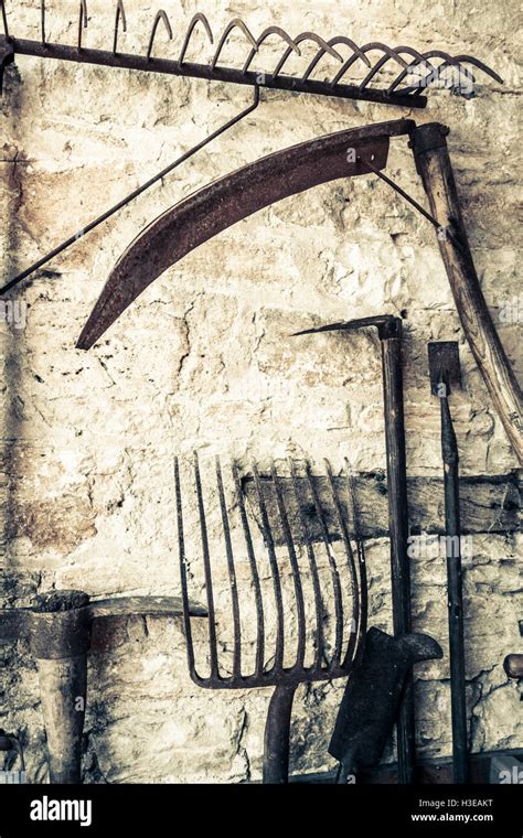 Attrezzi agricoli antichi in un contesto rurale