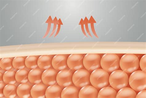 Microscopio che osserva cellule cutanee