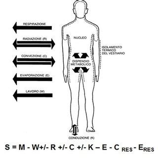 Diagramma del dispendio energetico del corpo umano