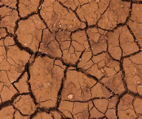 Immagine di un terreno argilloso che si crepa con l'asciugatura