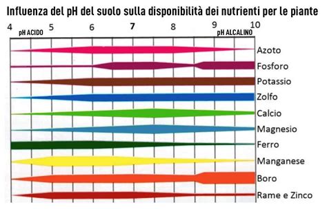Scala del pH del suolo con indicazione di acidità, neutralità e alcalinità