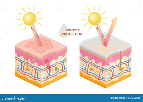 Protezione solare e pelle