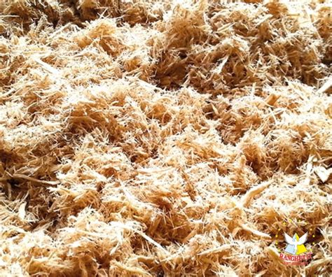 Fiocchi di fibra di legno visti da vicino