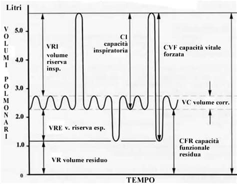 Schema di un test di funzionalità polmonare (spirometria)