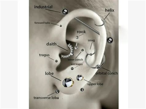 diverse tipologie di piercing sul viso