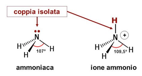 Diagramma chimico di ammoniaca e ione ammonio