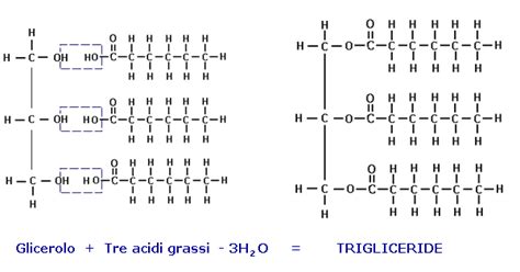 Composizione chimica di un idratante biologico