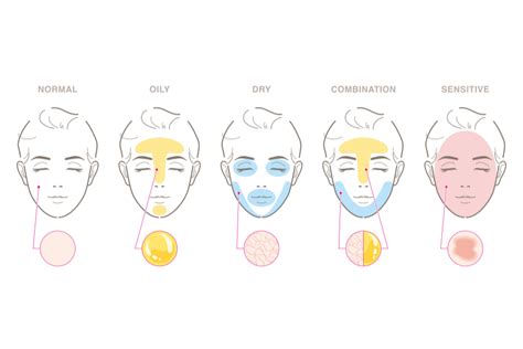 Diagramma che illustra i diversi tipi di pelle e i relativi ingredienti per la detersione
