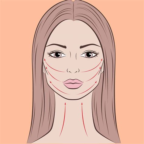 Schema del viso che evidenzia gli zigomi