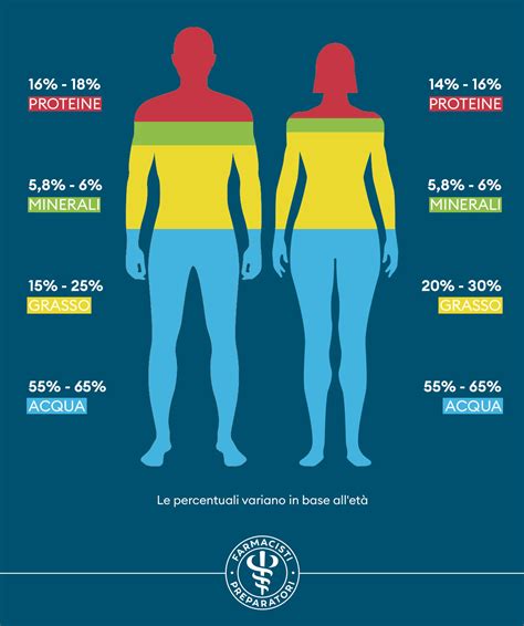 Diagramma della composizione corporea umana mostrando la percentuale di acqua