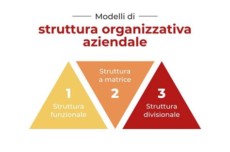 Struttura organizzativa dell'ACN