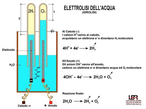 Schema di un elettrodo ionoselettivo