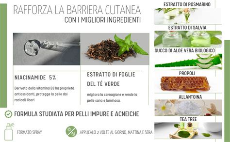 Infografica sugli ingredienti chiave per il trattamento delle macchie